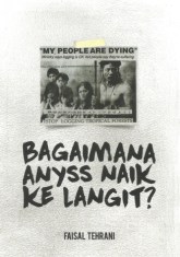 bagaimana-anyss-naik-ke-langit