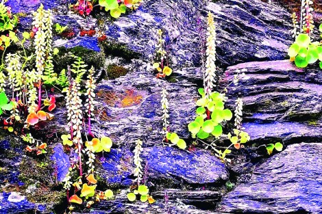 ombres-et-pierres-photo-1